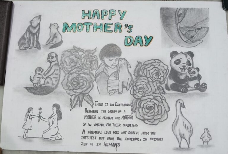 ✨ File Making Service – Get Your Project & Practical Files Done Easily!